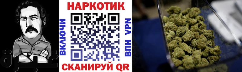 Где купить наркоту Злынка ГАШ  АМФ  Кокаин  МЕФ  Каннабис 