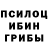 Галлюциногенные грибы Cubensis Anny Sveep