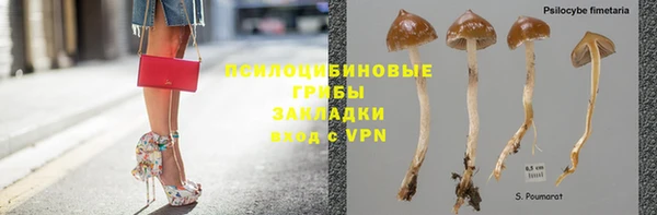 прущая мука Верхний Тагил